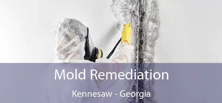 Mold Remediation Kennesaw - Georgia