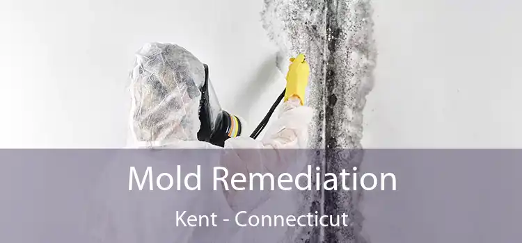 Mold Remediation Kent - Connecticut