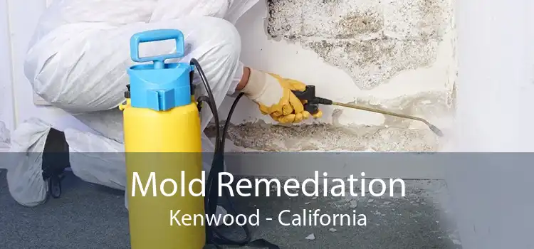 Mold Remediation Kenwood - California