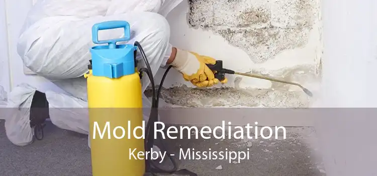 Mold Remediation Kerby - Mississippi