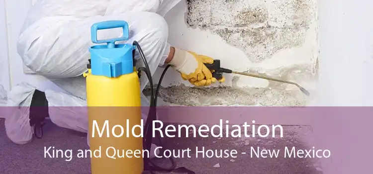 Mold Remediation King and Queen Court House - New Mexico