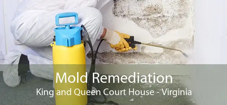 Mold Remediation King and Queen Court House - Virginia