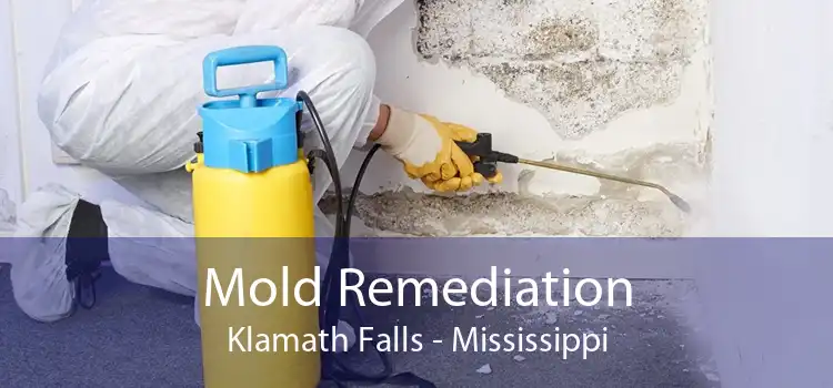 Mold Remediation Klamath Falls - Mississippi
