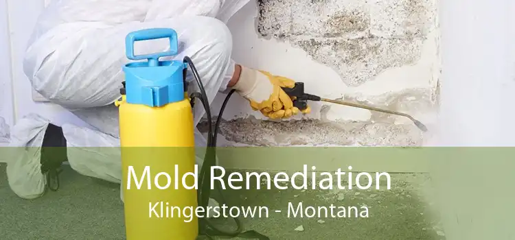 Mold Remediation Klingerstown - Montana