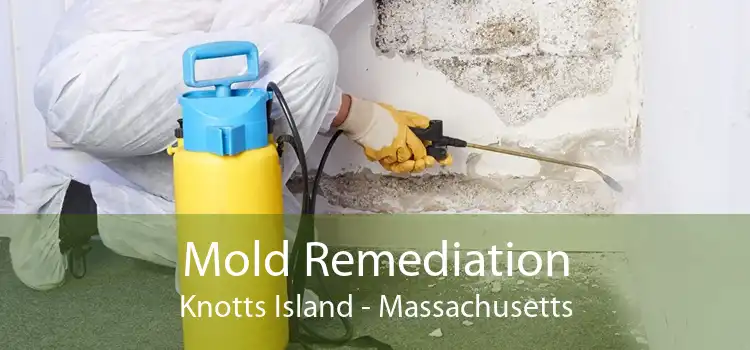 Mold Remediation Knotts Island - Massachusetts