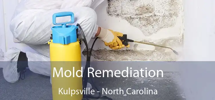 Mold Remediation Kulpsville - North Carolina