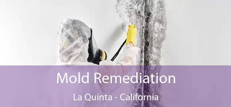 Mold Remediation La Quinta - California