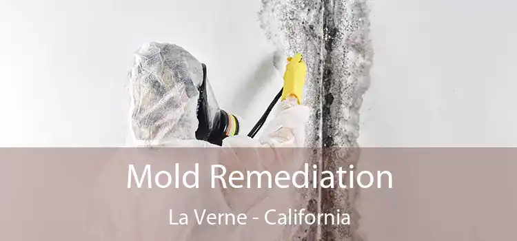 Mold Remediation La Verne - California