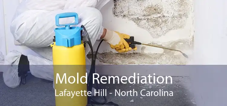 Mold Remediation Lafayette Hill - North Carolina