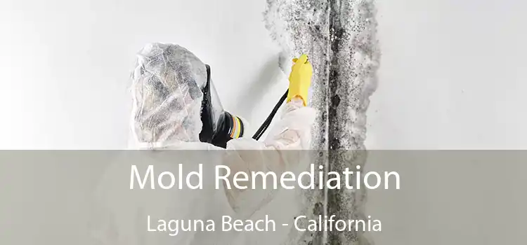 Mold Remediation Laguna Beach - California