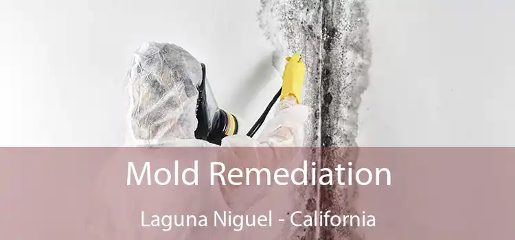 Mold Remediation Laguna Niguel - California