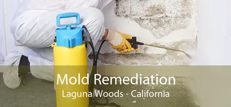 Mold Remediation Laguna Woods - California