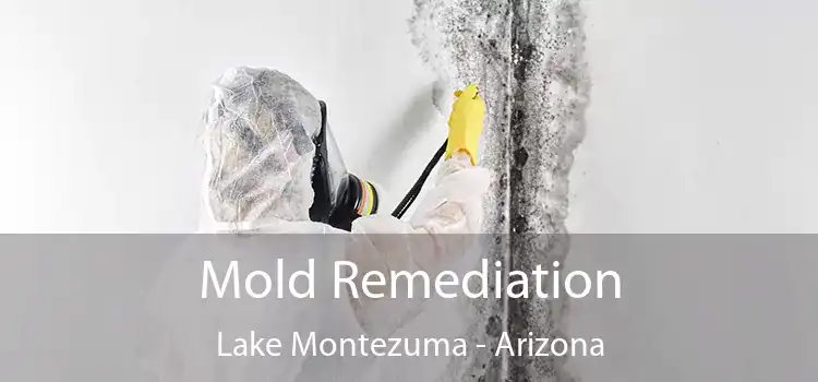 Mold Remediation Lake Montezuma - Arizona