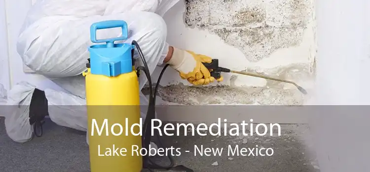 Mold Remediation Lake Roberts - New Mexico