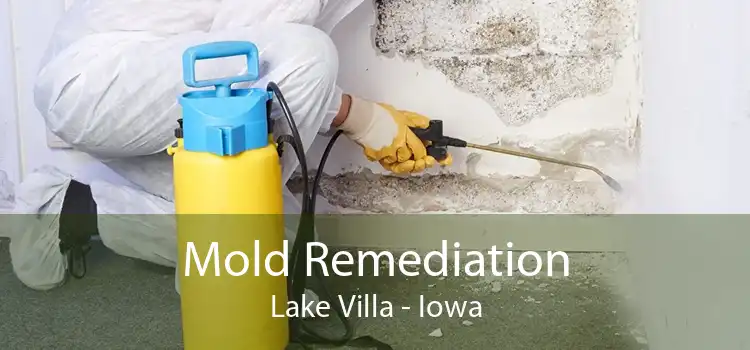 Mold Remediation Lake Villa - Iowa