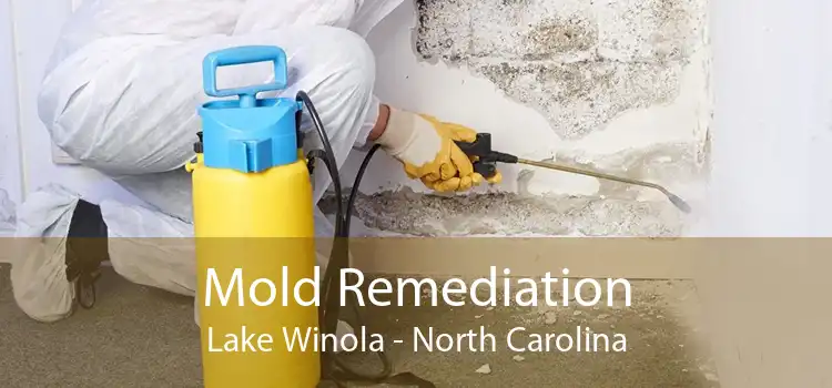 Mold Remediation Lake Winola - North Carolina