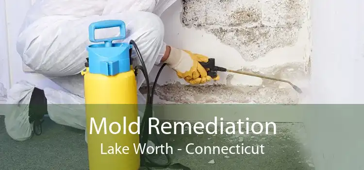 Mold Remediation Lake Worth - Connecticut