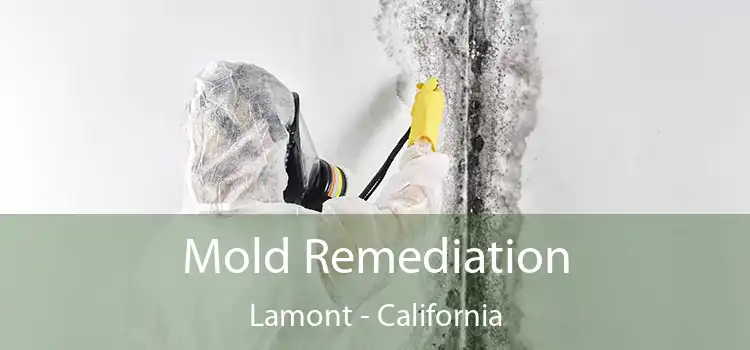 Mold Remediation Lamont - California