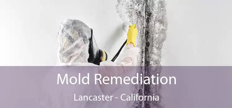 Mold Remediation Lancaster - California