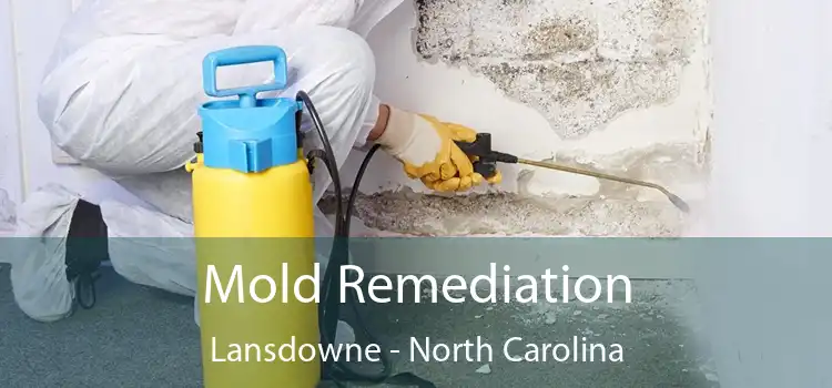 Mold Remediation Lansdowne - North Carolina