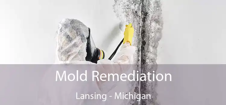 Mold Remediation Lansing - Michigan