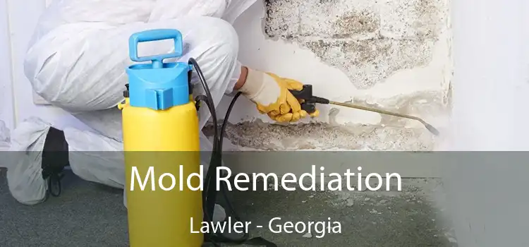 Mold Remediation Lawler - Georgia