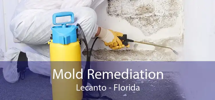 Mold Remediation Lecanto - Florida