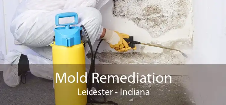 Mold Remediation Leicester - Indiana