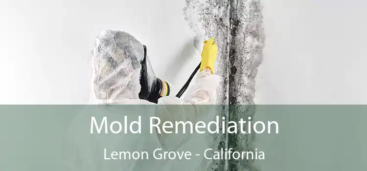 Mold Remediation Lemon Grove - California