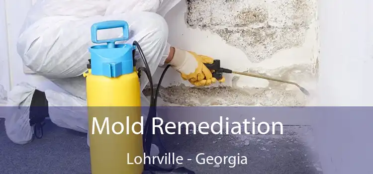 Mold Remediation Lohrville - Georgia