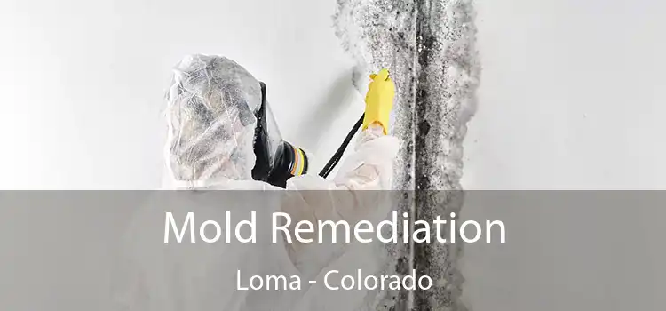 Mold Remediation Loma - Colorado