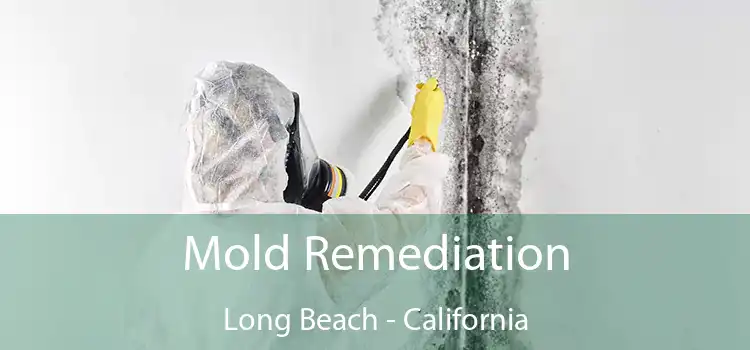 Mold Remediation Long Beach - California