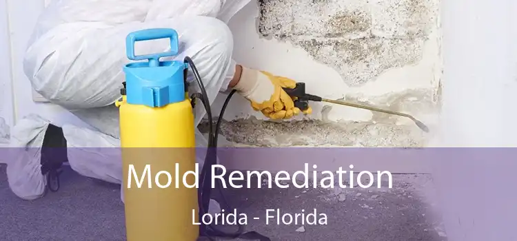 Mold Remediation Lorida - Florida