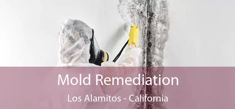 Mold Remediation Los Alamitos - California