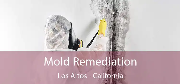 Mold Remediation Los Altos - California