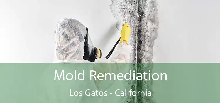 Mold Remediation Los Gatos - California