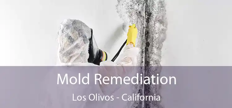 Mold Remediation Los Olivos - California