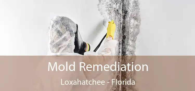 Mold Remediation Loxahatchee - Florida