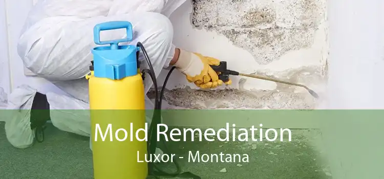 Mold Remediation Luxor - Montana