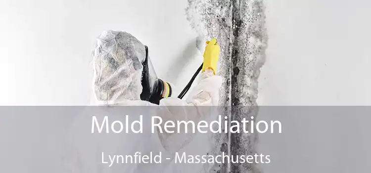 Mold Remediation Lynnfield - Massachusetts