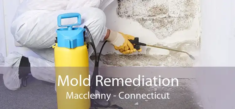 Mold Remediation Macclenny - Connecticut