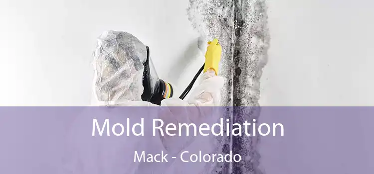 Mold Remediation Mack - Colorado