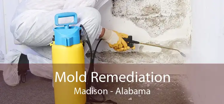 Mold Remediation Madison - Alabama