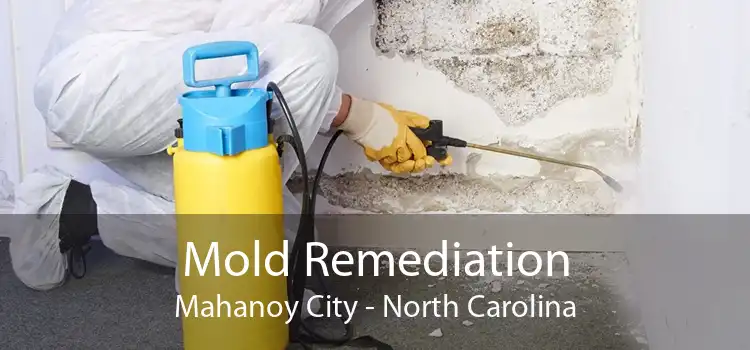 Mold Remediation Mahanoy City - North Carolina