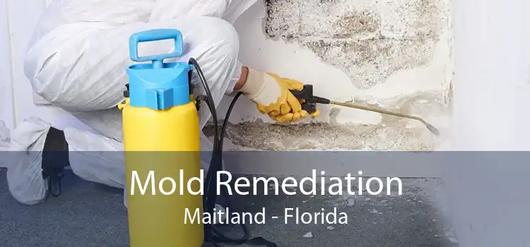 Mold Remediation Maitland - Florida