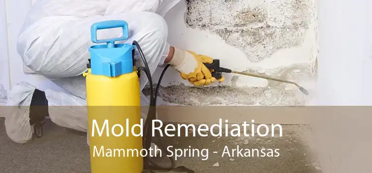 Mold Remediation Mammoth Spring - Arkansas