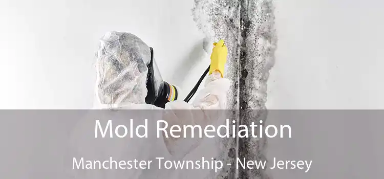 Mold Remediation Manchester Township - New Jersey