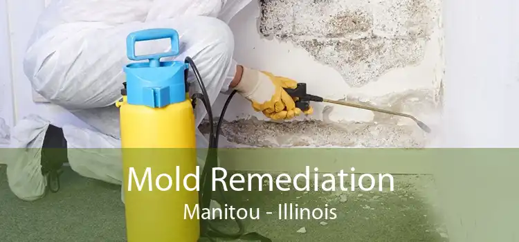Mold Remediation Manitou - Illinois
