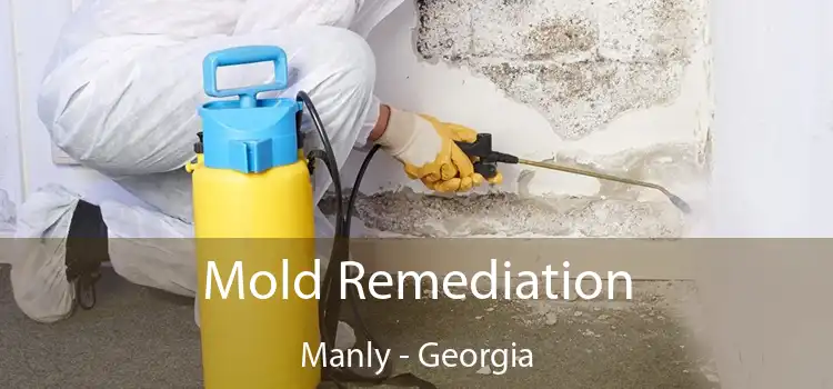 Mold Remediation Manly - Georgia