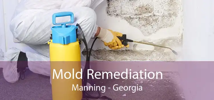 Mold Remediation Manning - Georgia
